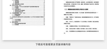 營銷策劃書的撰寫藝術 從方案到落地的實用指南